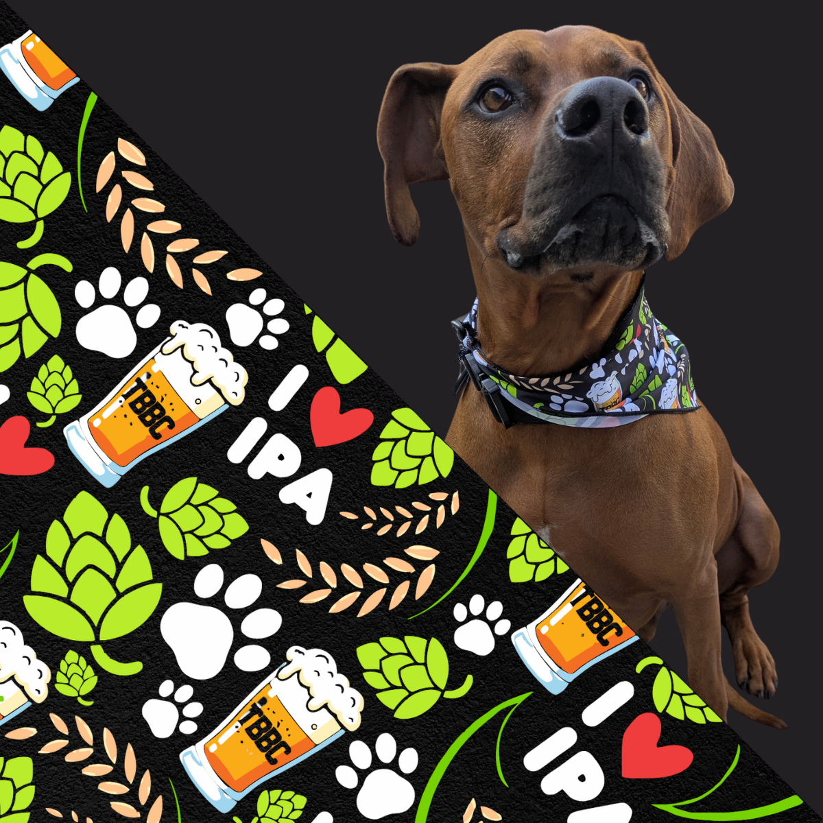 Pet Bandana - Large 25x17 inches